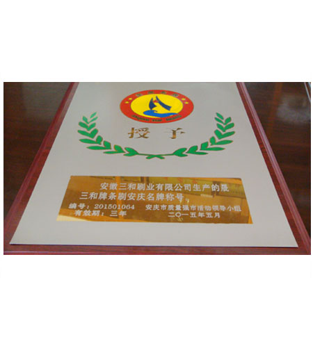 安庆名牌证书